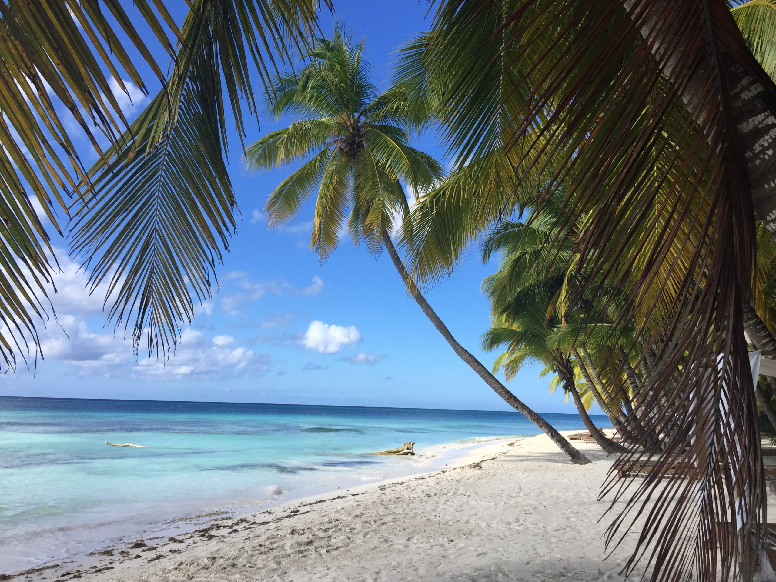 Saona eiland laat je wegdromen op witte stranden, blauwe wateren en prachtige palmbomen